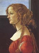Sandro Botticelli Porfile of a Young Woman (mk45) Spain oil painting artist